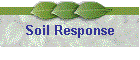 Soil Response